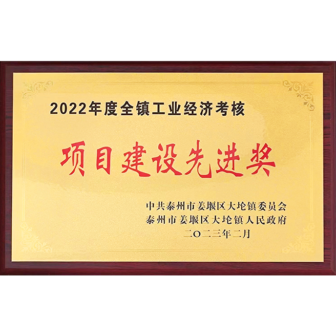 2022年度项目建设先进奖
